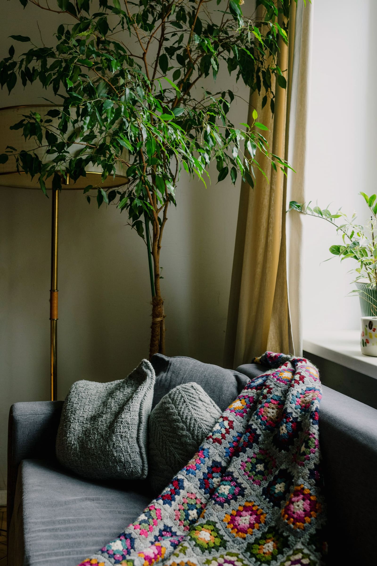 The cozy living room inside the Avian Care home